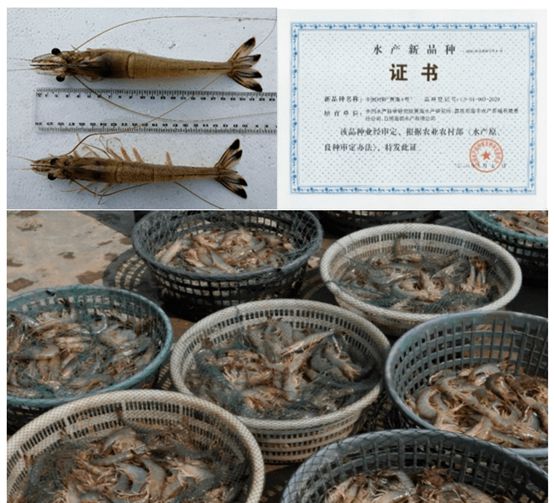 EMC易倍 EMC易倍体育如何从国际水产生物技术中“突围”？这场翻身仗免不了(图4)