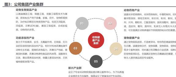 内生外延扩张业务瑞普生物：禽用药龙头向宠物药进军EMC易倍 EMC易倍体育(图4)