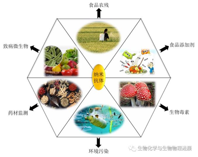 【前沿科普】新一代“生物技术导弹”——纳米抗体EMC易倍 EMC易倍体育(图5)