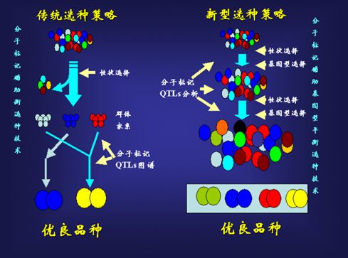 EMC易倍 EMC易倍体育中国水产生物技术走向国际他们功不可没(图6)