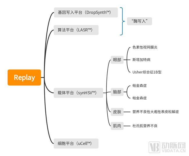 创新生物技术平台Replay打破传统商业模式种子轮融资5500万美元EMC易倍 EMC易倍体育(图6)