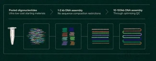 创新生物技术平台Replay打破传统商业模式种子轮融资5500万美元EMC易倍 EMC易倍体育(图2)