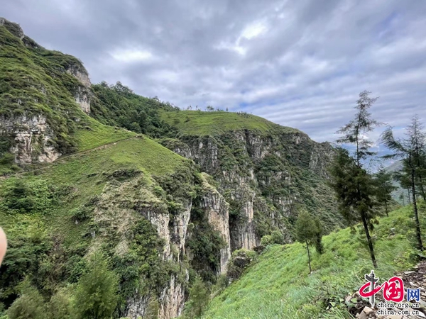 昆明东川区：打造高标准生态蔬菜示范基地 点燃乡村振兴EMC体育 EMC易倍体育“绿色”希望(图2)