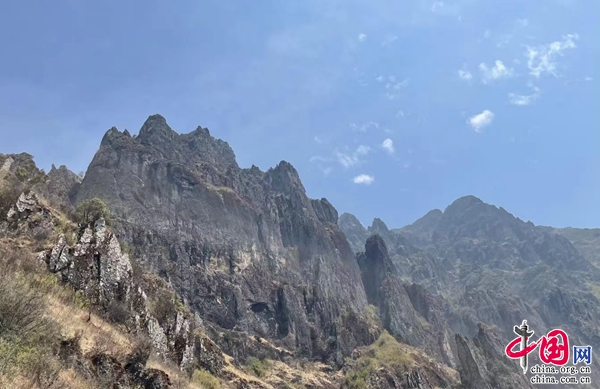 昆明东川区：打造高标准生态蔬菜示范基地 点燃乡村振兴EMC体育 EMC易倍体育“绿色”希望(图3)