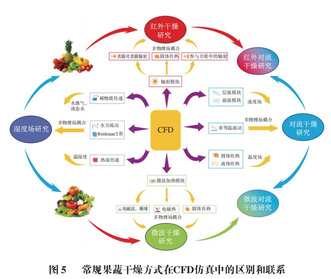 易倍体育 EMC易倍《食品科学》：石河子大学杨旭海副教授等：计算流体力学在果蔬干燥领域的研究进展(图9)