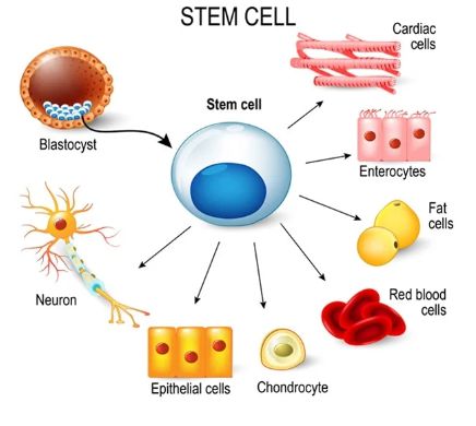 2024年EMC易倍体育 易倍EMC生物技术产业这几个热门方向被广泛看好(图4)